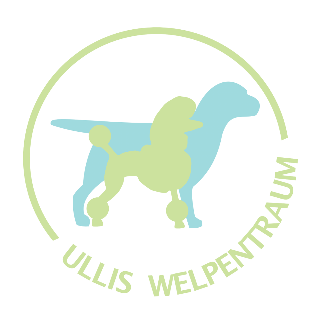 Logo grün transparent